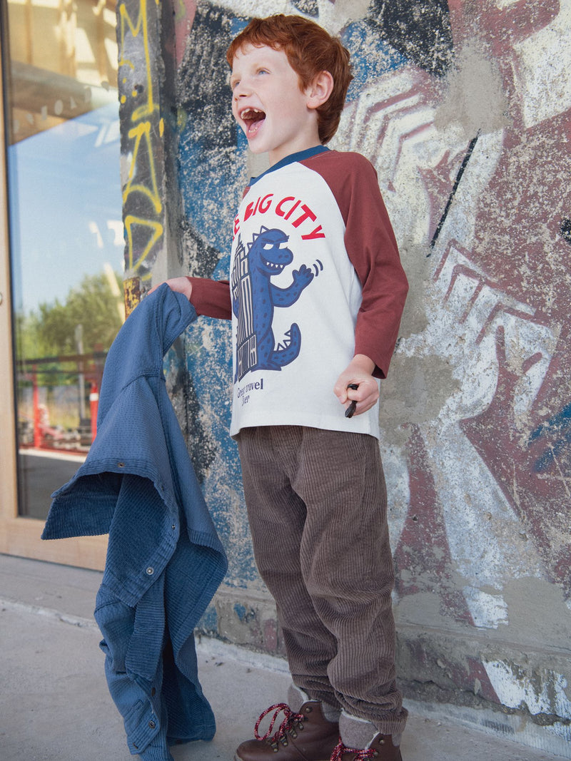 T-shirt à manches longues et animation dinosaure pour garçon