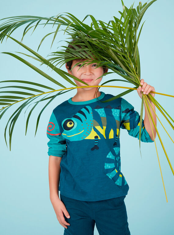 Tee shirt garçon manches longues bicolore cameleon JOCLOTEE2 / 20S90212TML715