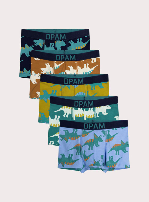 Lot de 4 boxers dinausaures  pour enfant garçon XEGOBOXSEM1 / 25WH1242BOX706