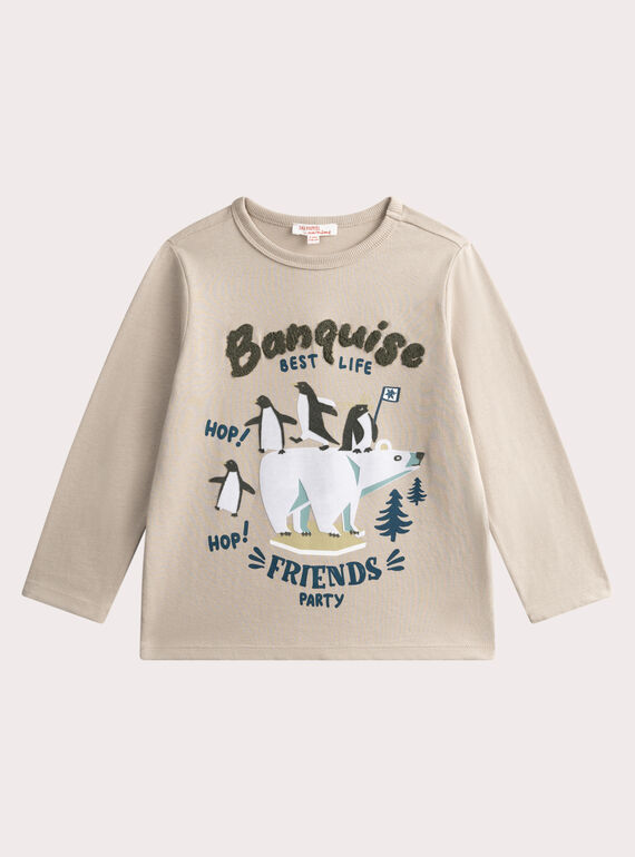 T-shirt gris animation banquise pour garçon VOPERTEE3 / 24W902R1TMLJ913