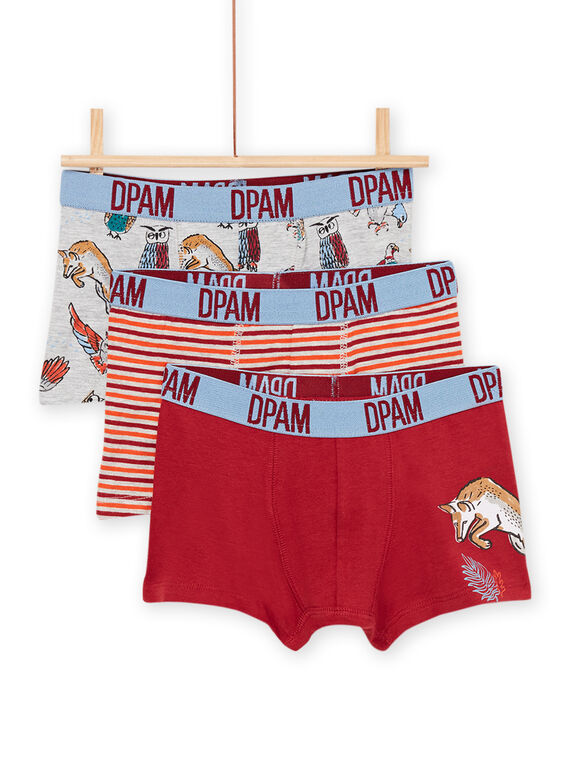Lot de 3 boxers assortis PEGOBOXANI / 22WH1244BOX719