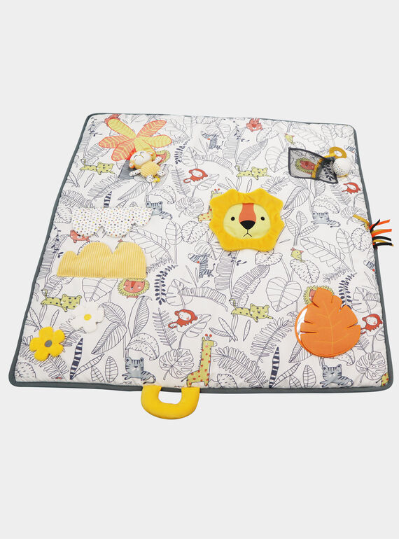 Premier tapis d'activité DPAFA0005 / 21R88411ADJ099