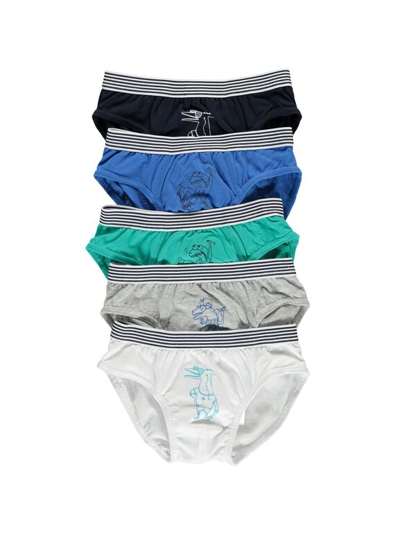 Lot de slips garçon CEGOSLISEM / 18SH12T3SLI705