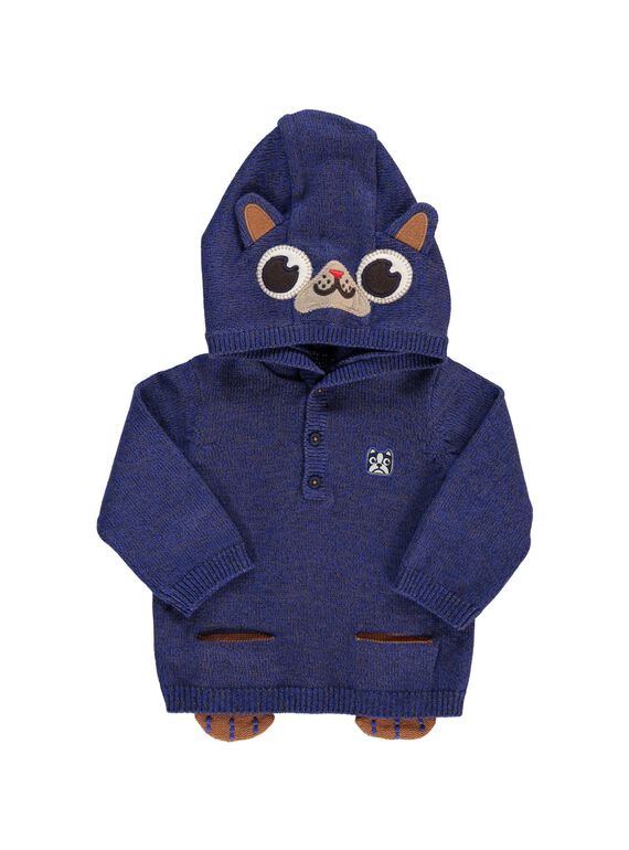 Pull à capuche bébé garçon DUCHOPUL / 18WG10F1PUL099
