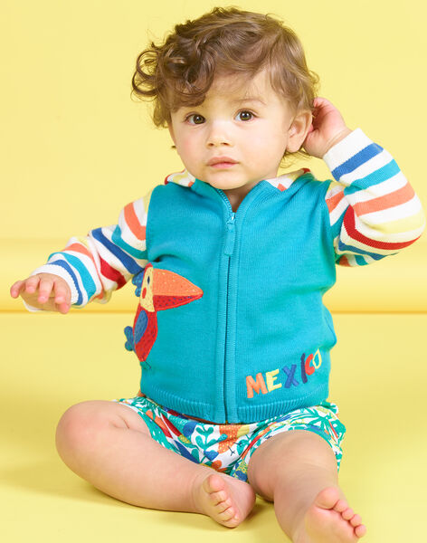 Gilet A Capuche En Maille Bleu Motif Oiseau Bebe Garcon Sale Bebe Dpam