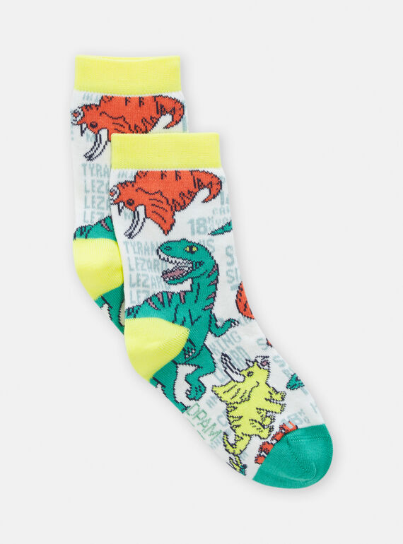 Chaussettes écrues à motif dinosaures pour garçon TYOJOCHO6 / 24SI0281SOQ001