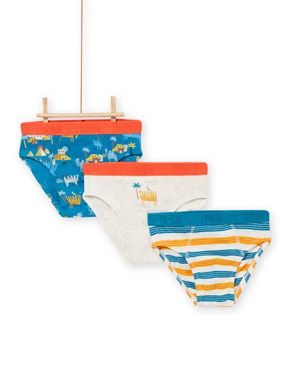 Lot de 3 slips assortis enfant garçon NEGOSLICHA / 22SH12J1D5LA010