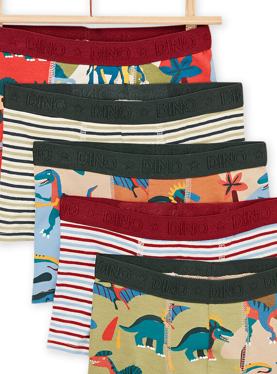 Lot de 5 boxers à imprimé dinosaures et rayures PEGOBOXSEM1 / 22WH1242BOXA016