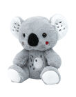 Peluche koala JKoala / 20T8GG17PE2099