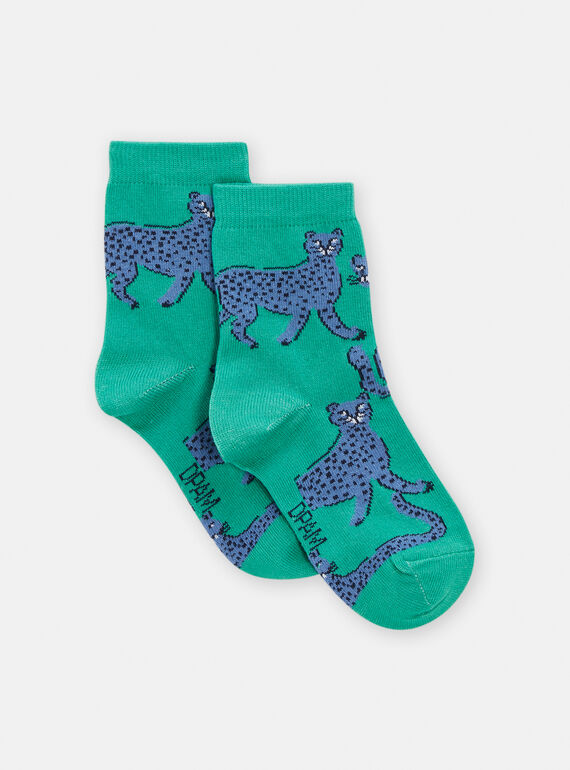 Chaussettes Verte TYOJOCHO7 / 24SI0288SOQG603