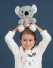 Peluche koala JKoala / 20T8GG17PE2099