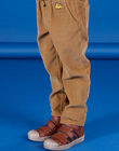 Pantalon en velours POMUPAN / 22W902R1PAN821