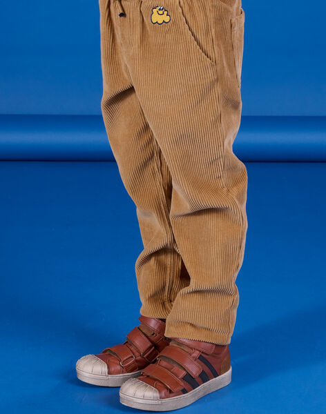 Pantalon en velours POMUPAN / 22W902R1PAN821