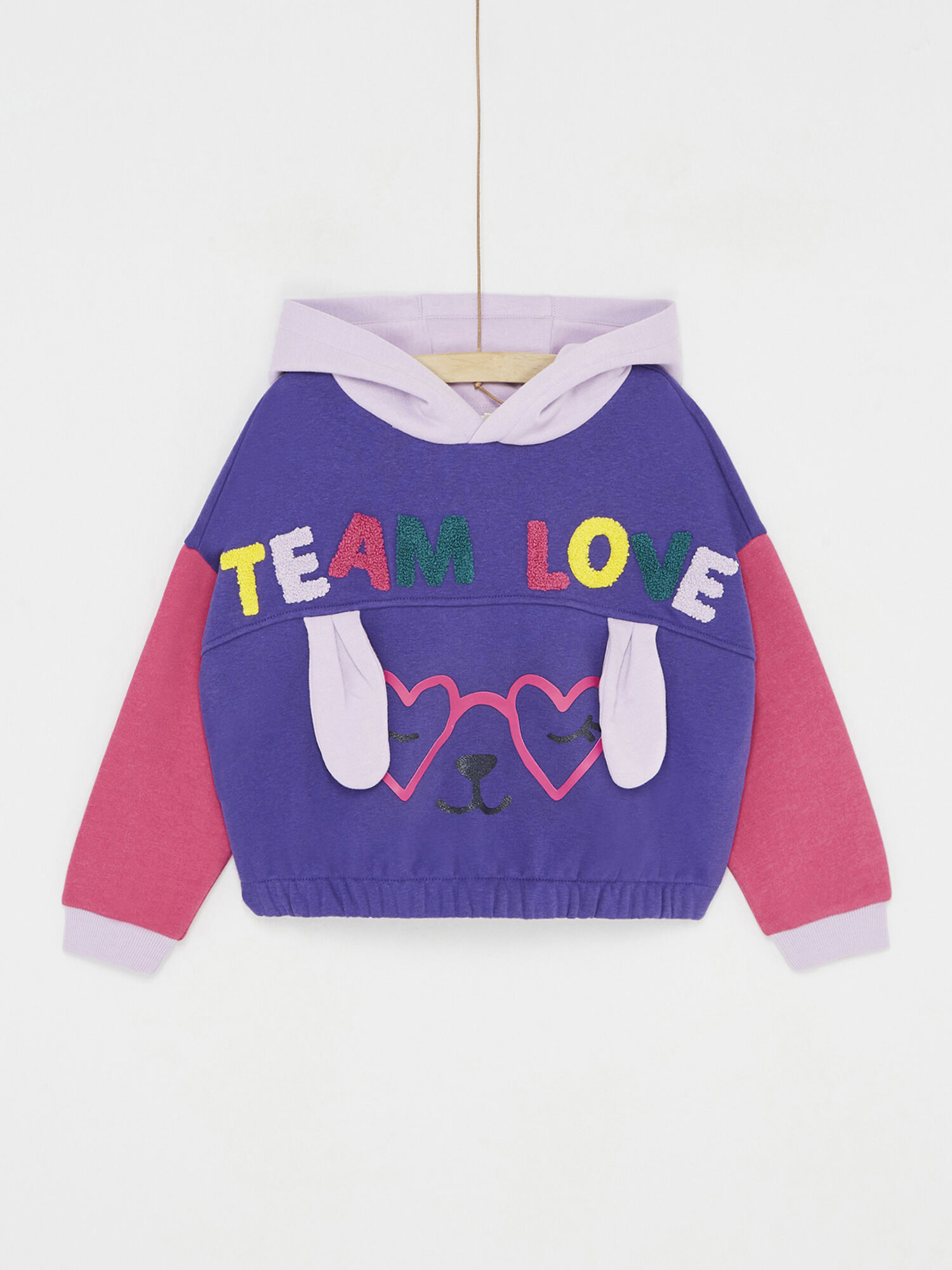 Sweat color block capuche pour fille Pull Sweat Gilet DPAM